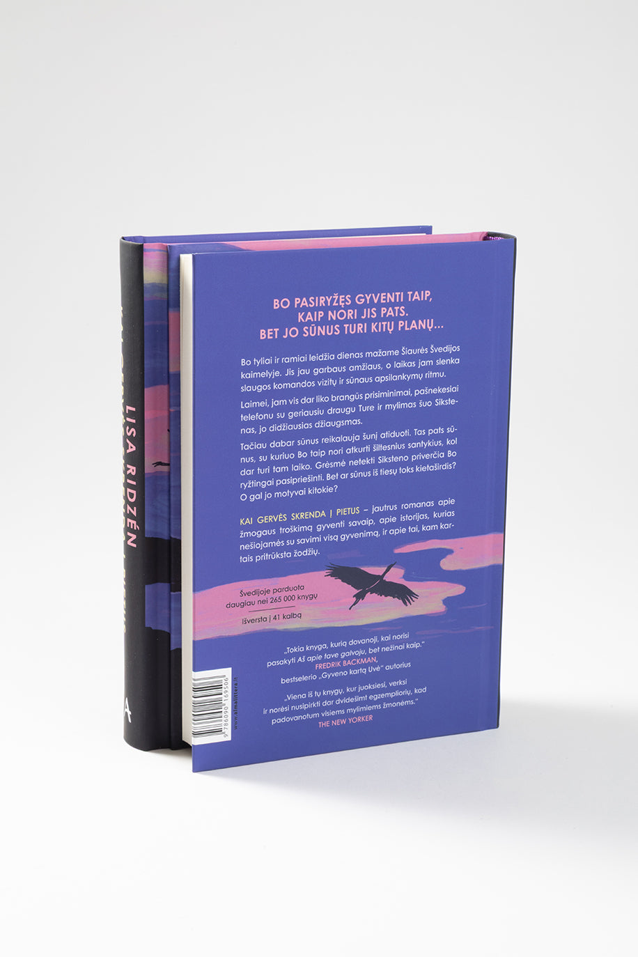 Kai gervės skrenda į pietus