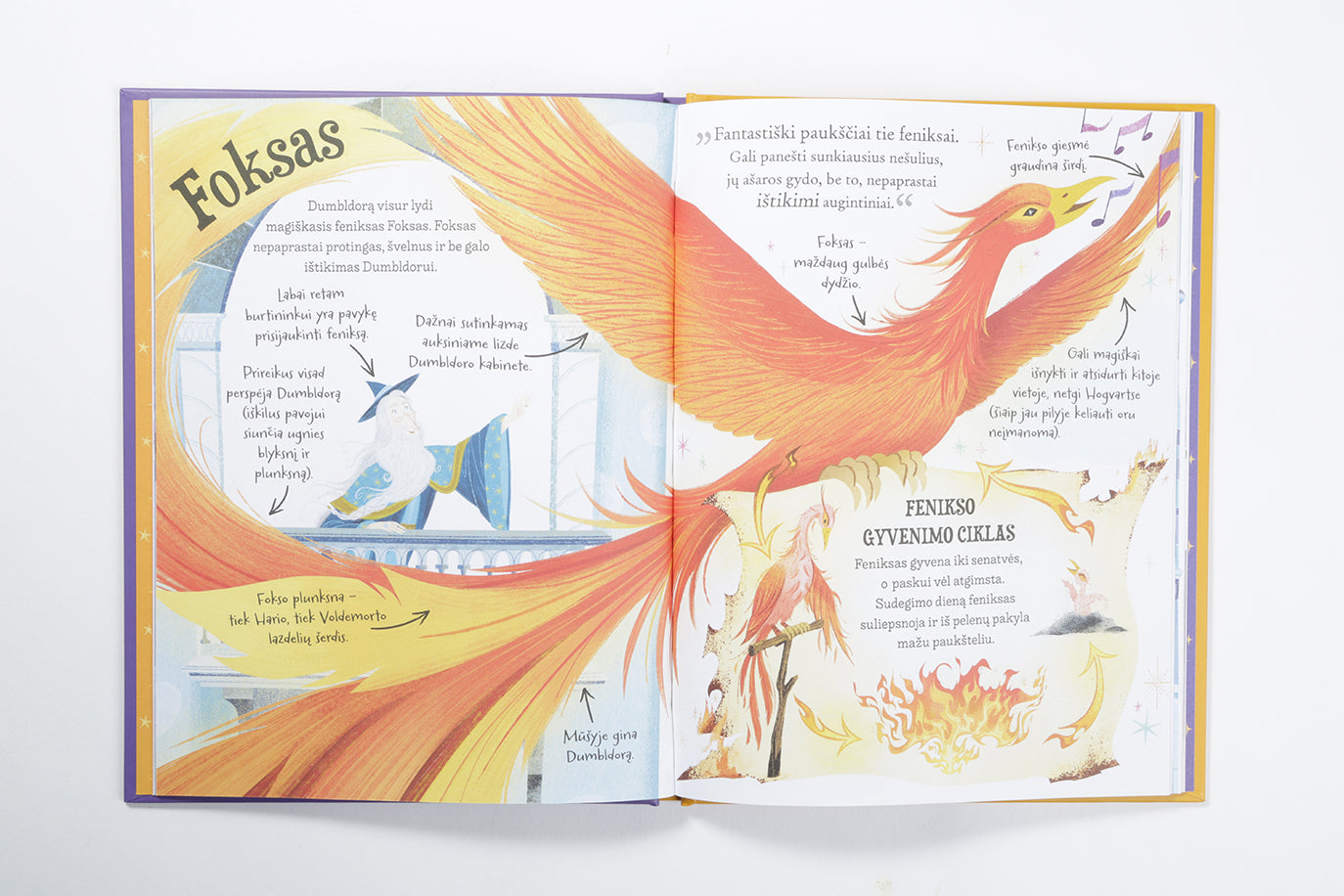 Profesorius Dumbldoras. Pocket Potters. Kišeniniai J. K. Rowling istorijų žinyna