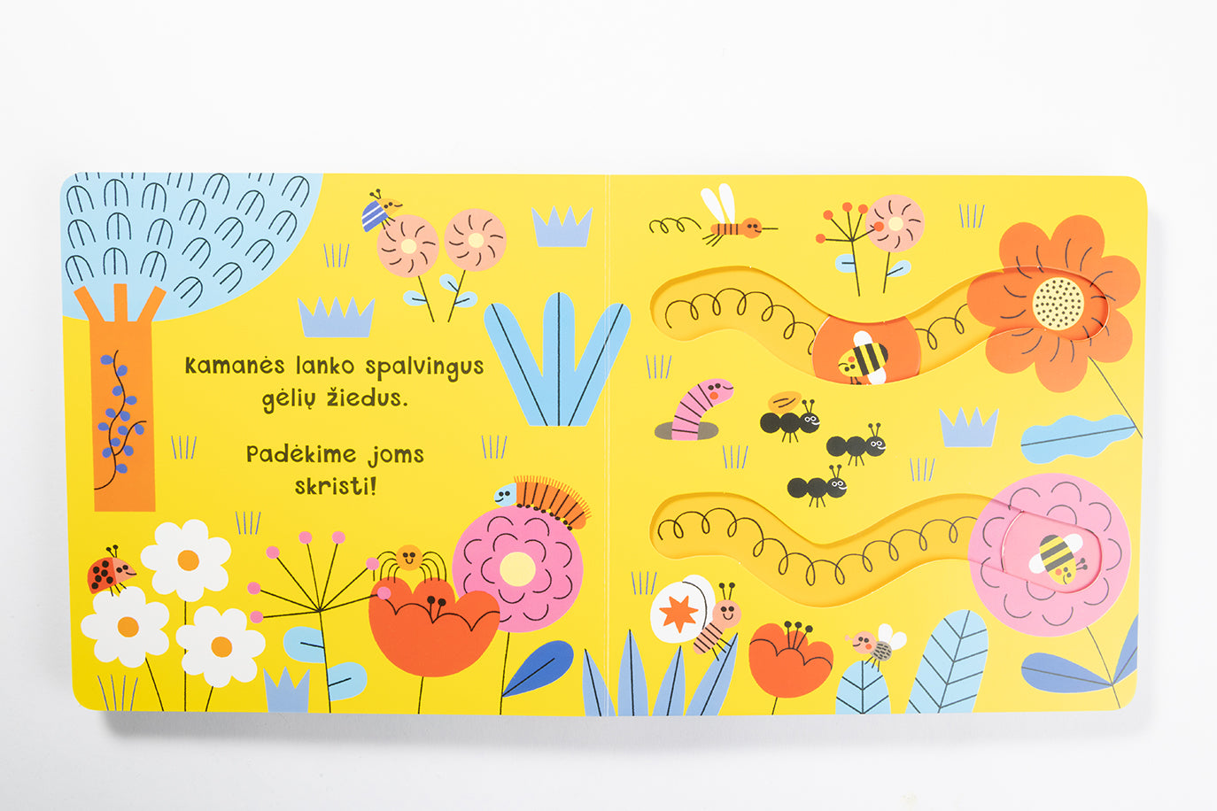 Viskas, kas juda! Vabalai. Interaktyvi knyga