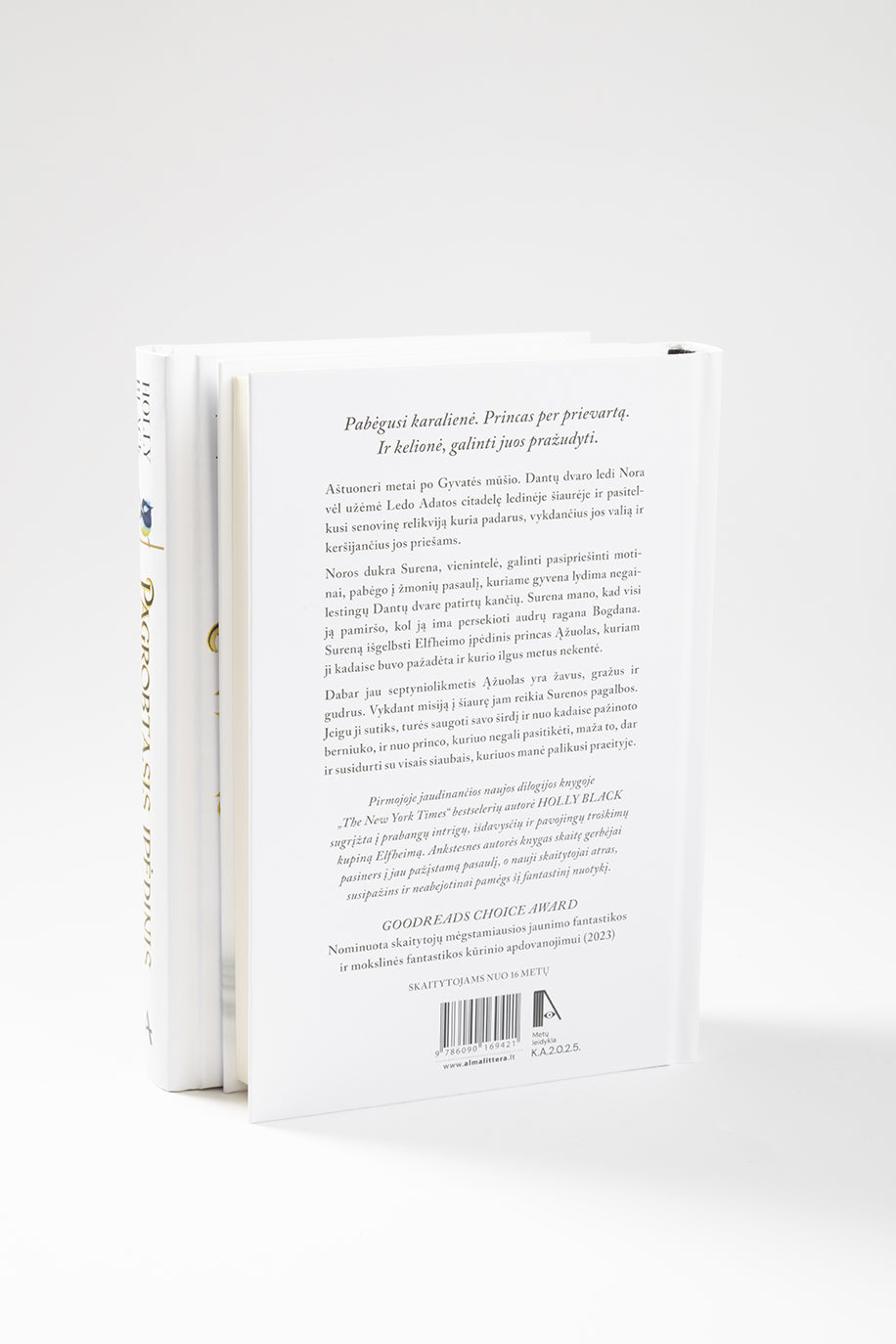 Pagrobtasis įpėdinis. Pirma knyga