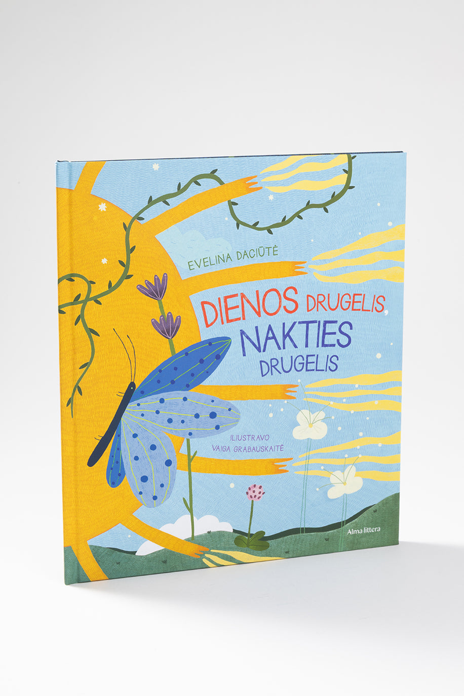 Dienos drugelis, nakties drugelis