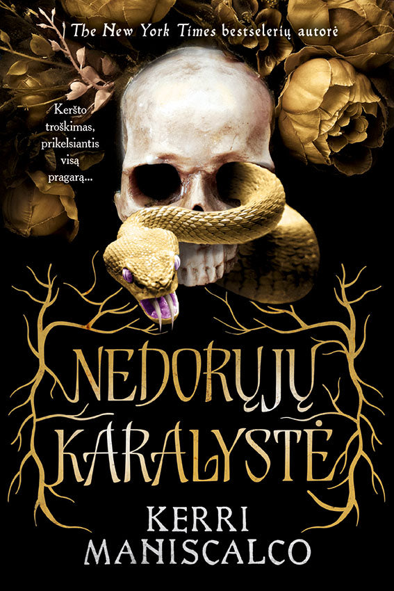 Nedorųjų karalystė. Pirma knyga