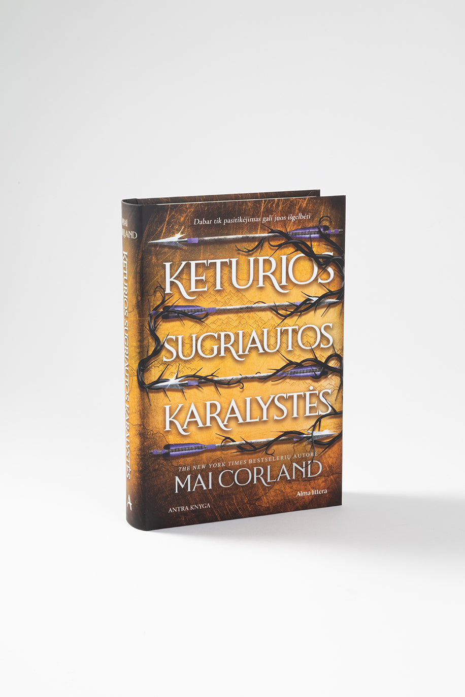 Keturios sugriautos karalystės. Serijos „Penki lūžę kalavijai“ antra knyga