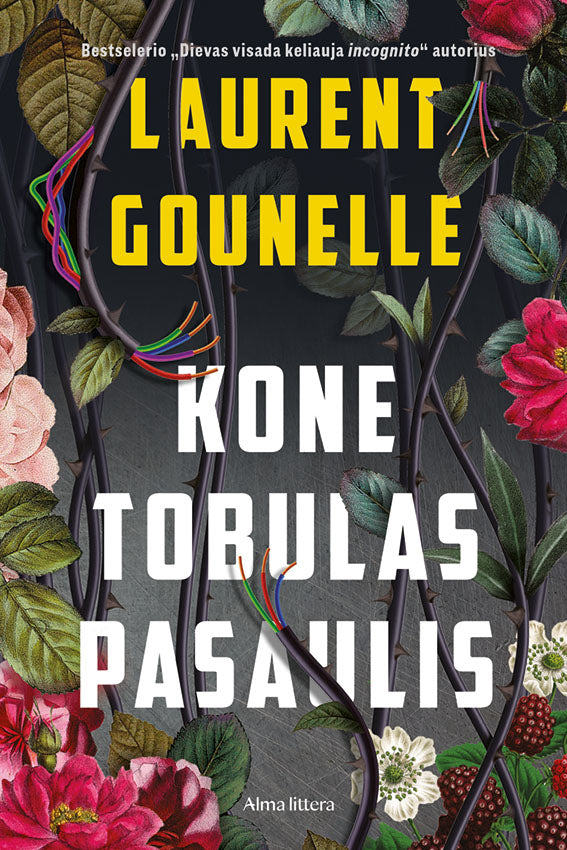 Kone tobulas pasaulis