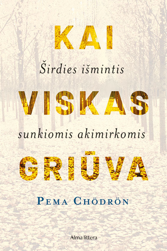 Kai viskas griūva
