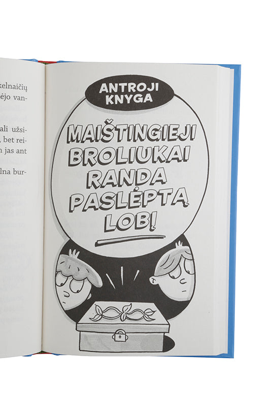 Maištingieji broliukai knyga iš Alma Littera