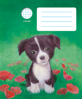 Holly Webb sąsiuvinis DŽESĖ, 2 kl., 12 l., langeliais