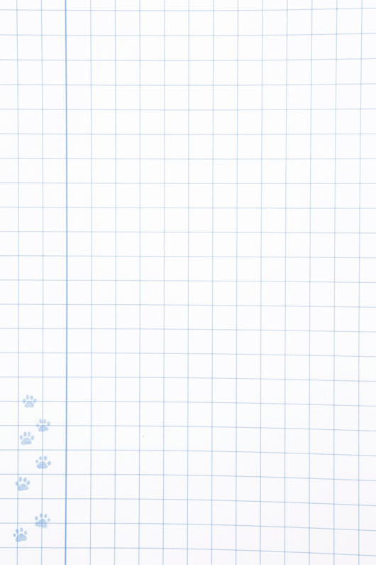 Holly Webb sąsiuvinis TRYS ŠUNIUKAI, 1 kl., langeliais knyga iš Alma Littera