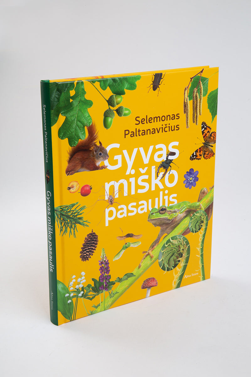 Gyvas miško pasaulis